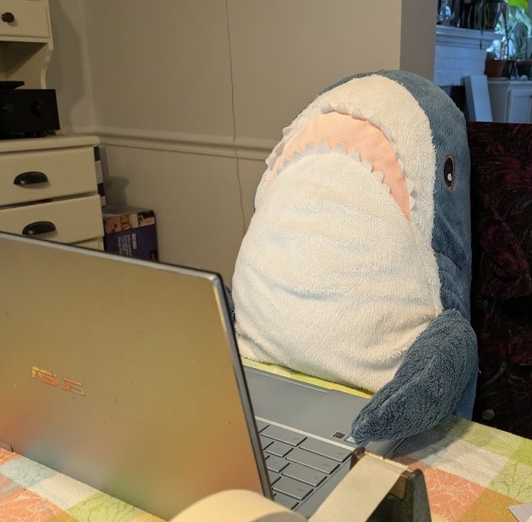 Stupid SHark