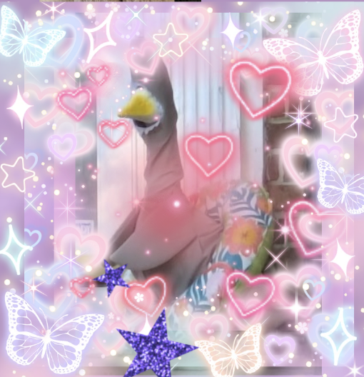 The Holy Goose